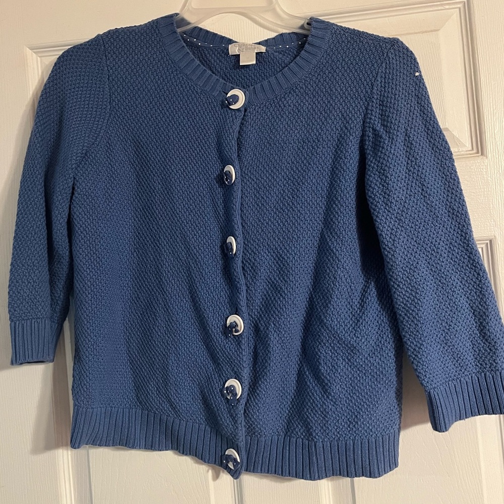 Blue Sweater